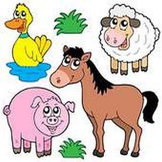 Animal Sounds & Ringtones Free