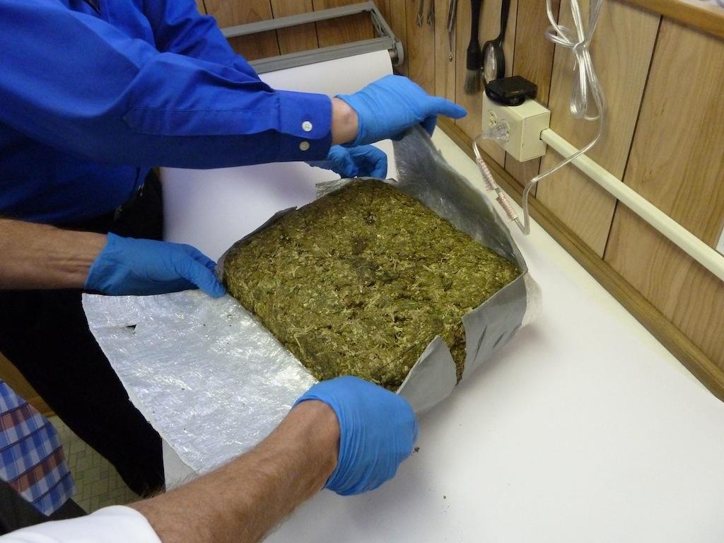 Drug Busts Live Wallpaper TONS