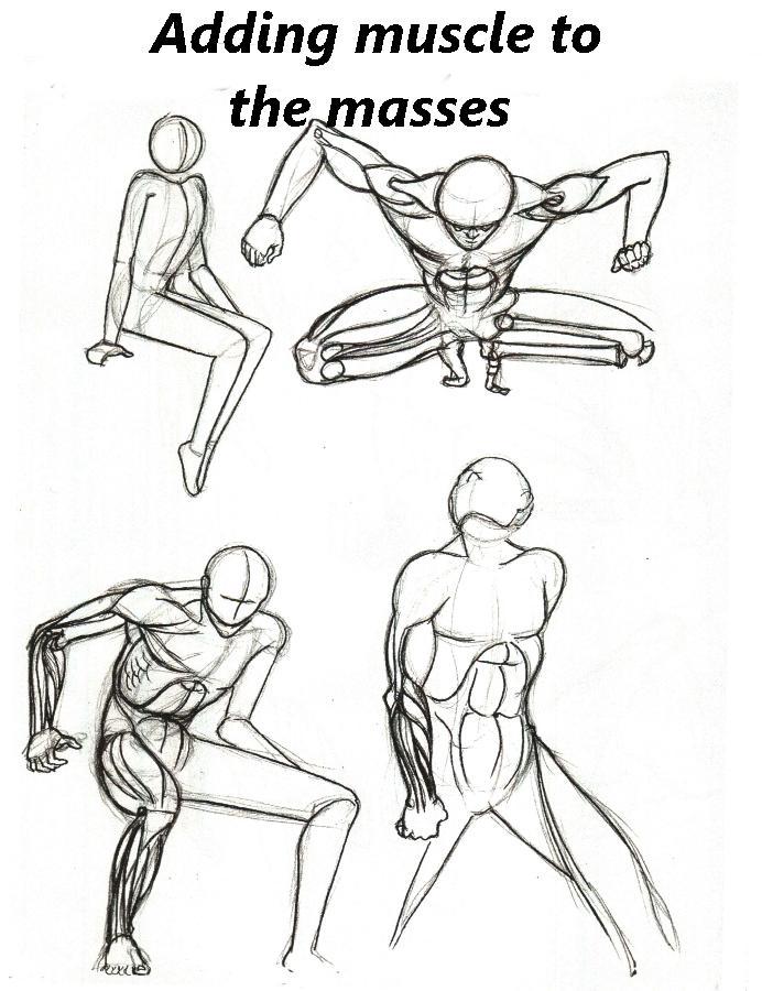 Sketches of anatomy