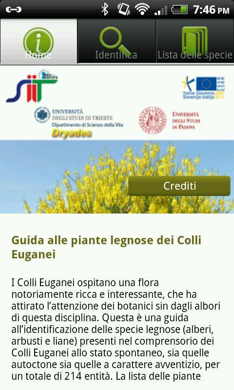 Piante legnose Colli Euganei