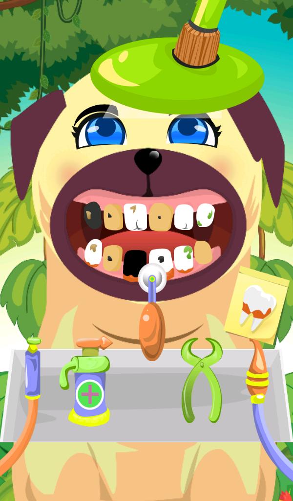 Animal Dentist