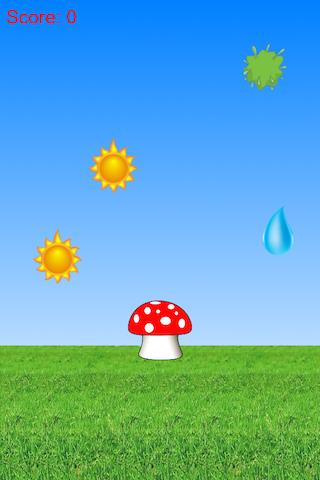 Cute Mushroom Grow Up Quickly