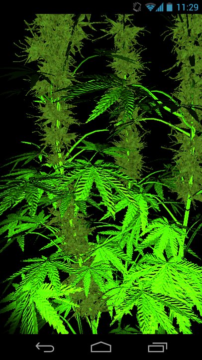 Weed 3D Live Wallpaper