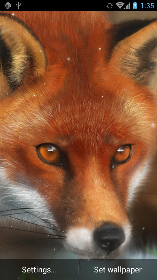 Animal Live Wallpaper