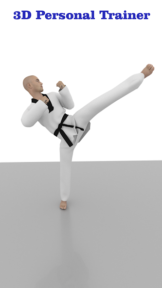 Taekwondo Workout