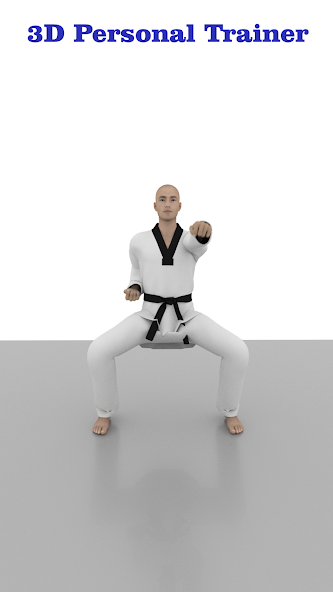 Taekwondo Workout