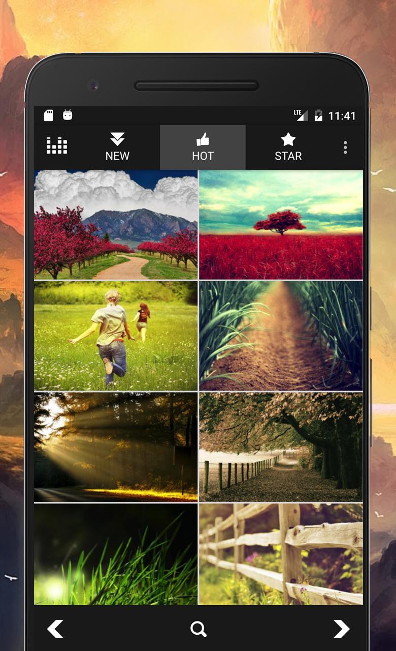 Wallpapers In HD(Hot Wallpapers & Backgrounds)