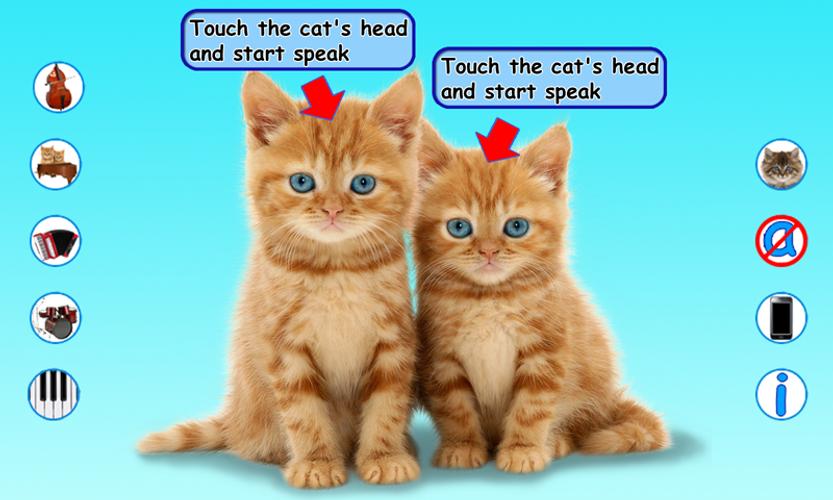 Talking Cats