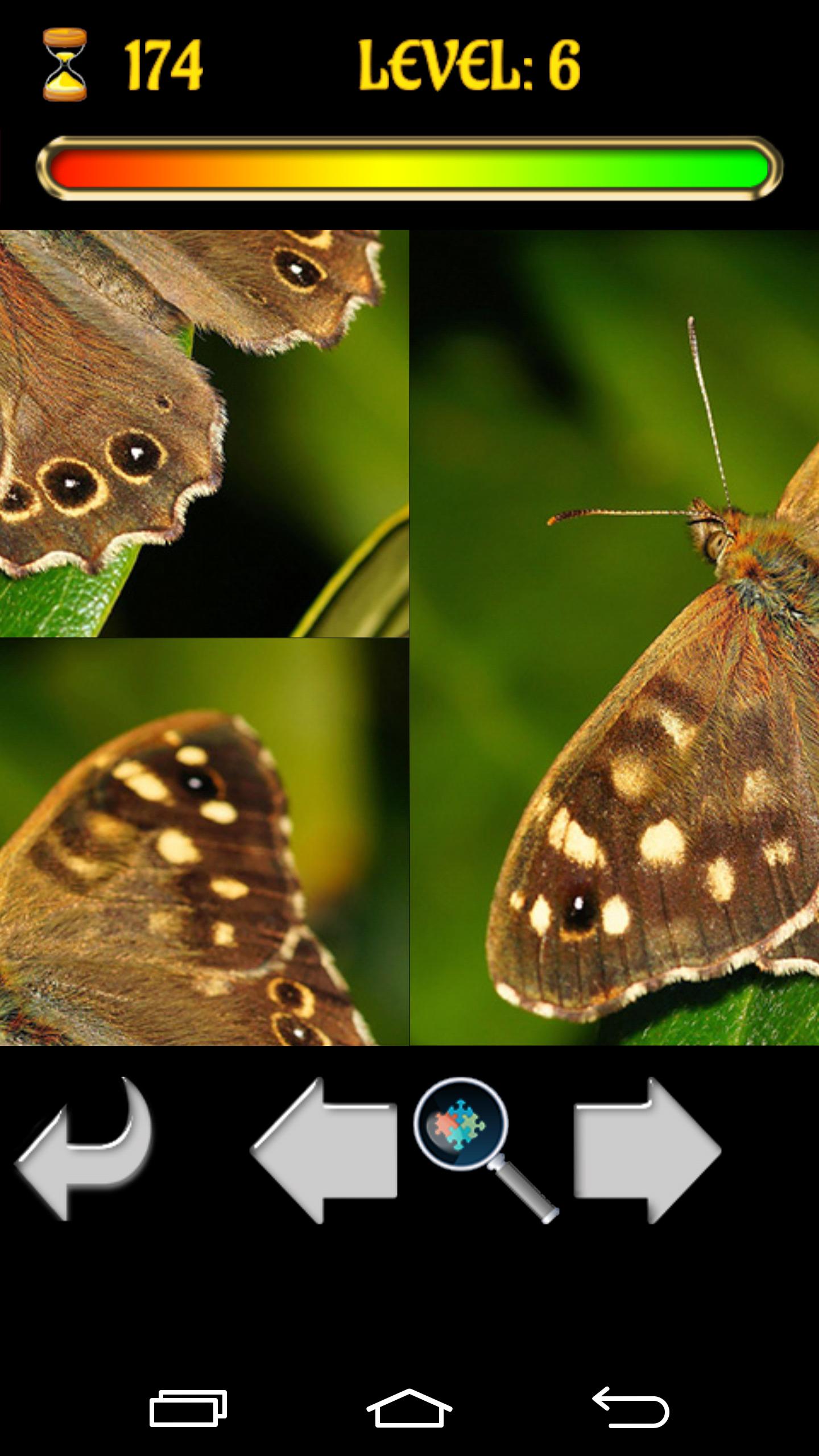 Puzzle Butterfly