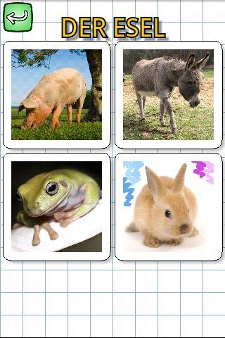 Animals in german