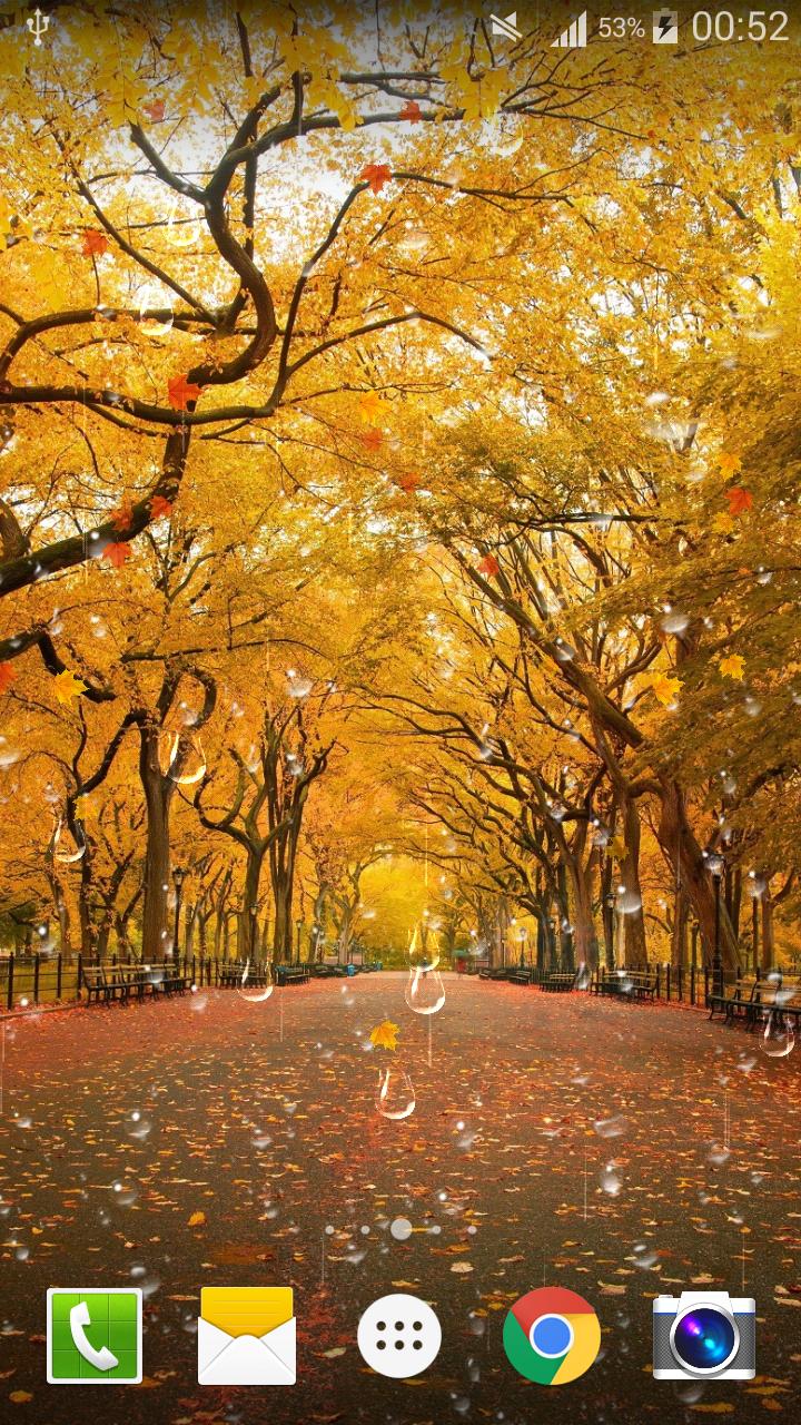 Maple Drops Live Wallpaper