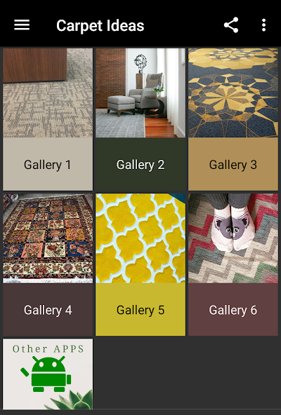 Carpet Ideas