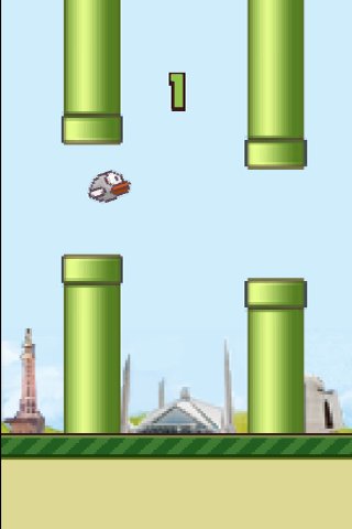 Pigeon Bird