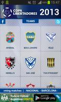 Copa Libertadores 2013