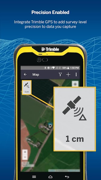 TerraFlex