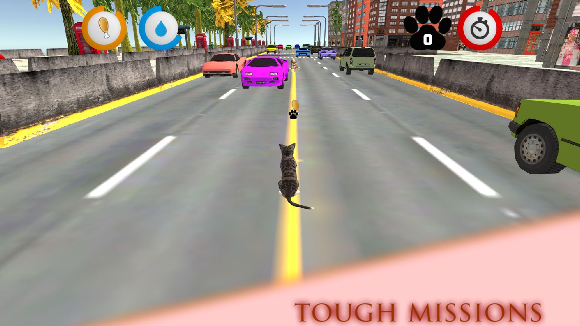 Real Cat Simulator