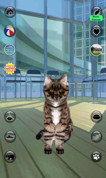 Talking Reality Cat