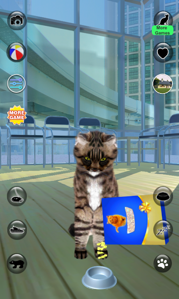 Talking Reality Cat