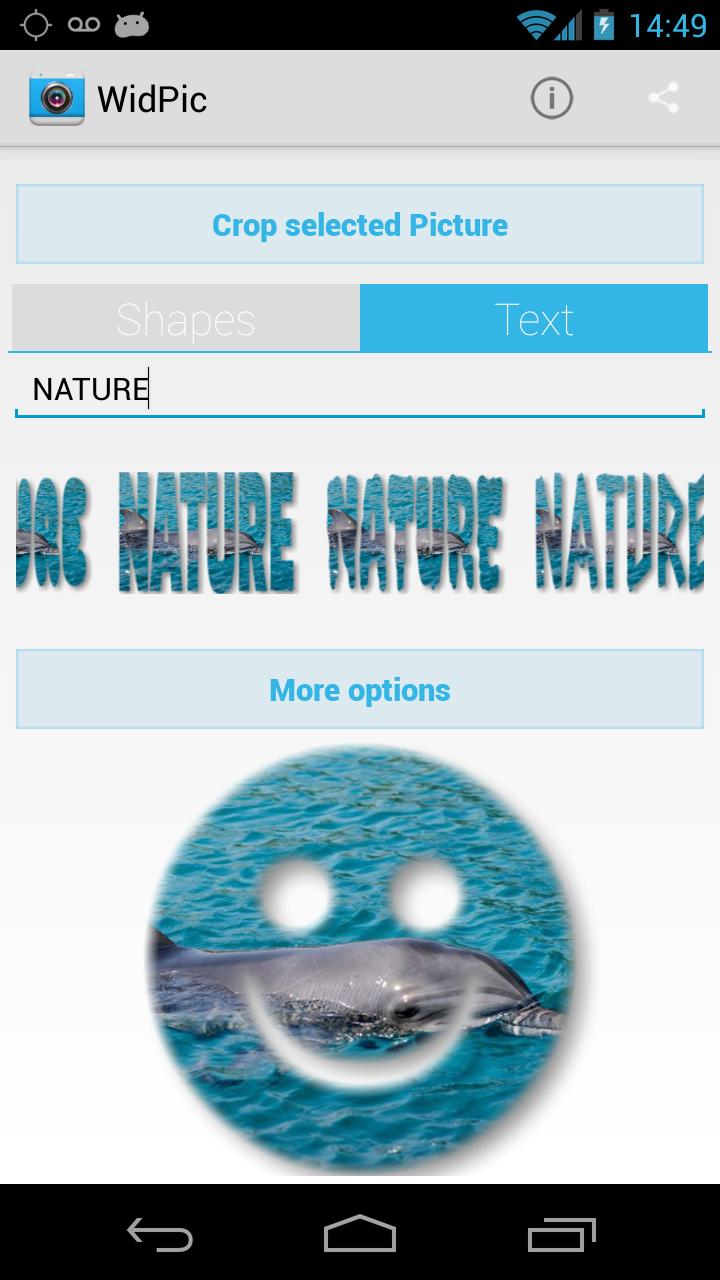 WidPic