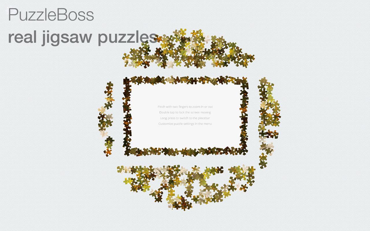 Jigsaw Puzzles: Aquarium Fish