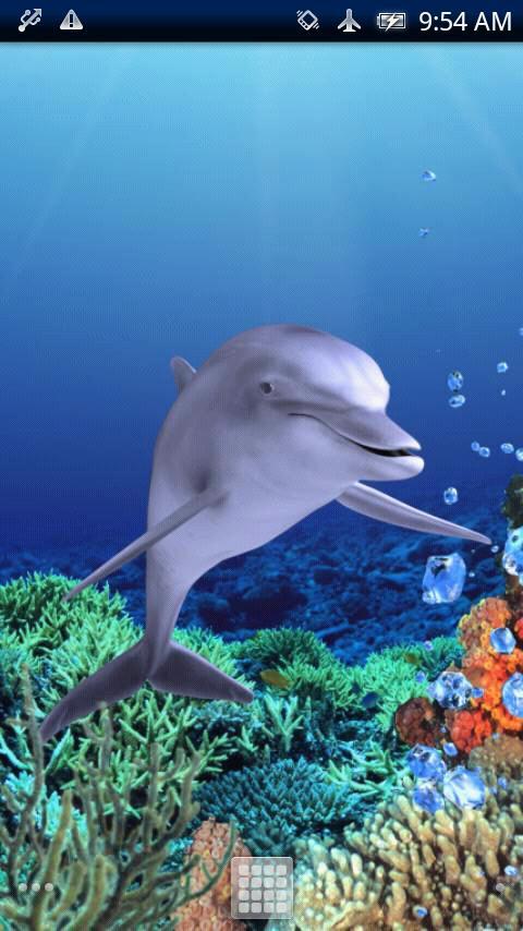 Dolphin Coral Trial