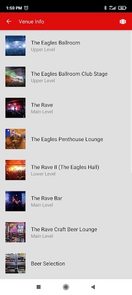 The Rave