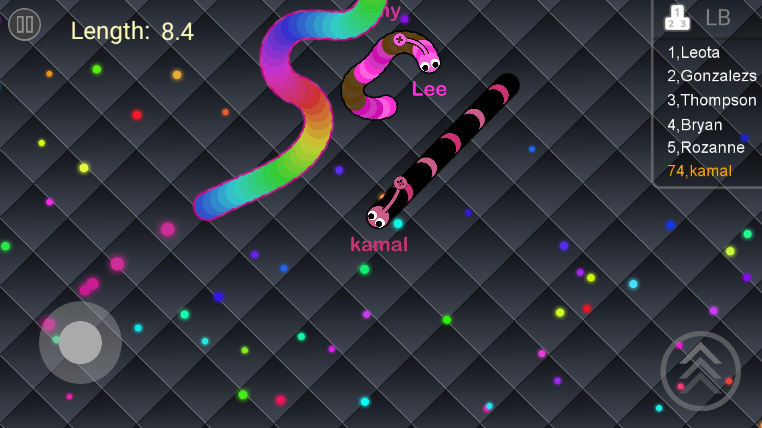 Snake Aras