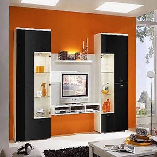 Shelves TV