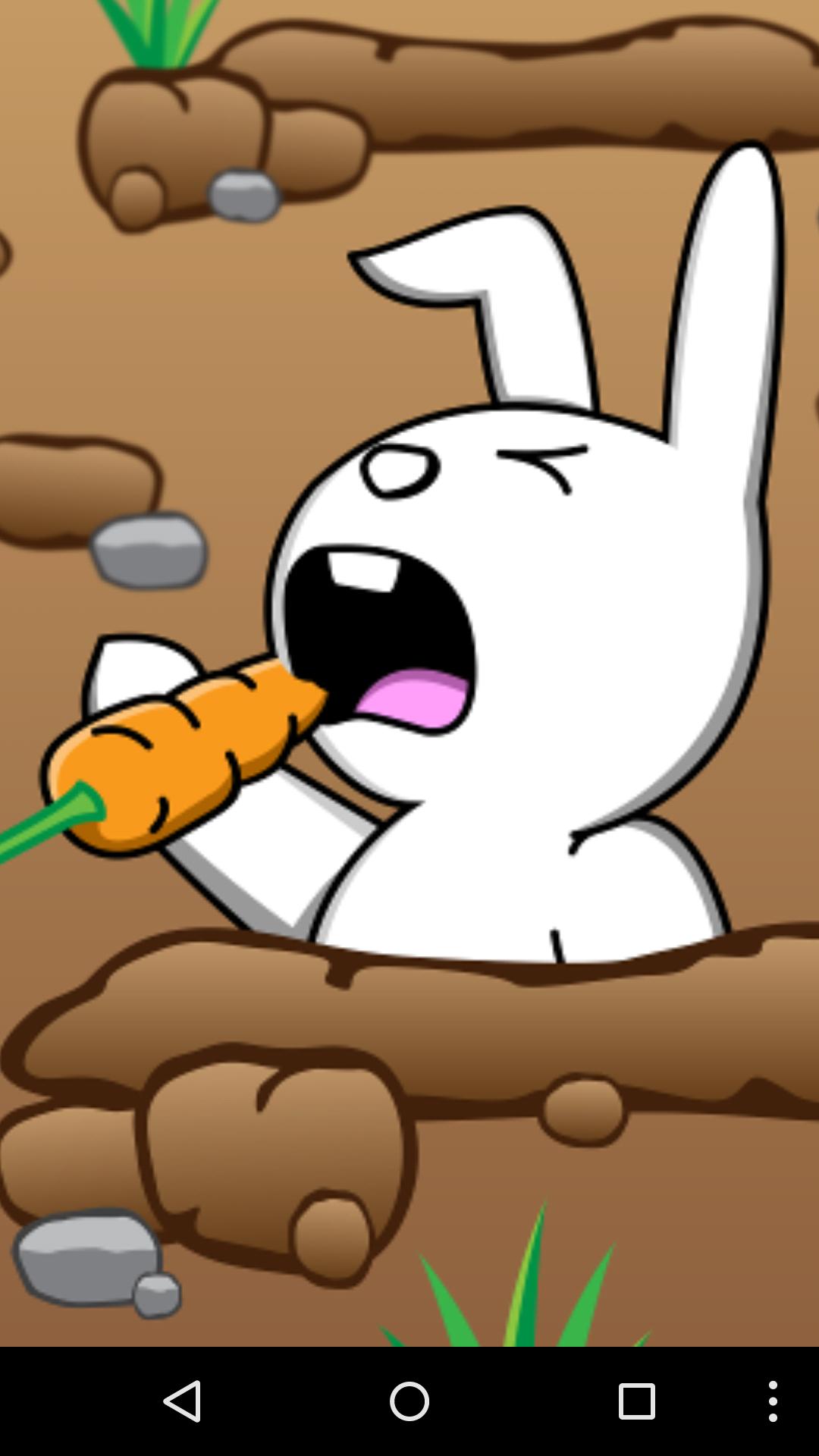 Bang! Bang! Bunny