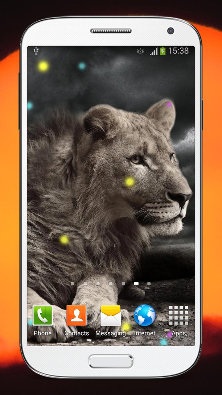 Wild Lion Live Wallpaper HD