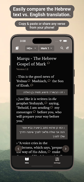 Hebrew Gospels