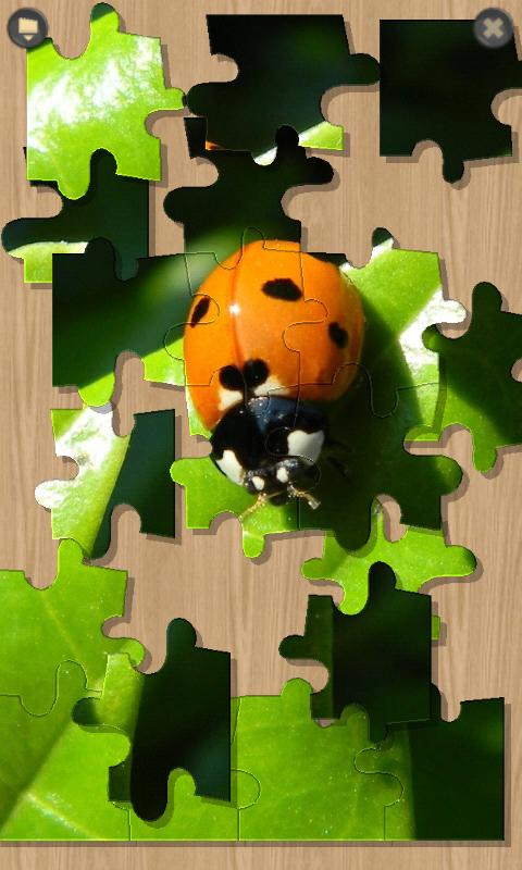 PuzzleX
