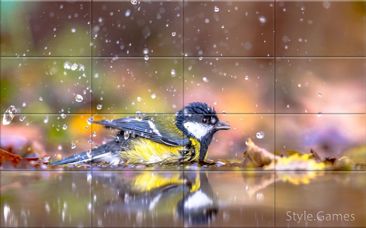 Sparrows Puzzle