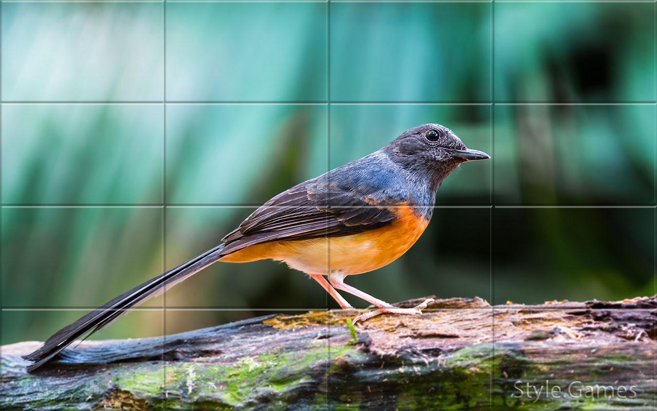 Sparrows Puzzle