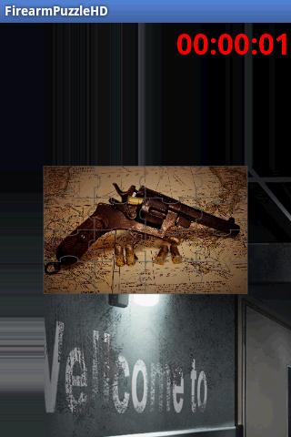 Guns Puzzle