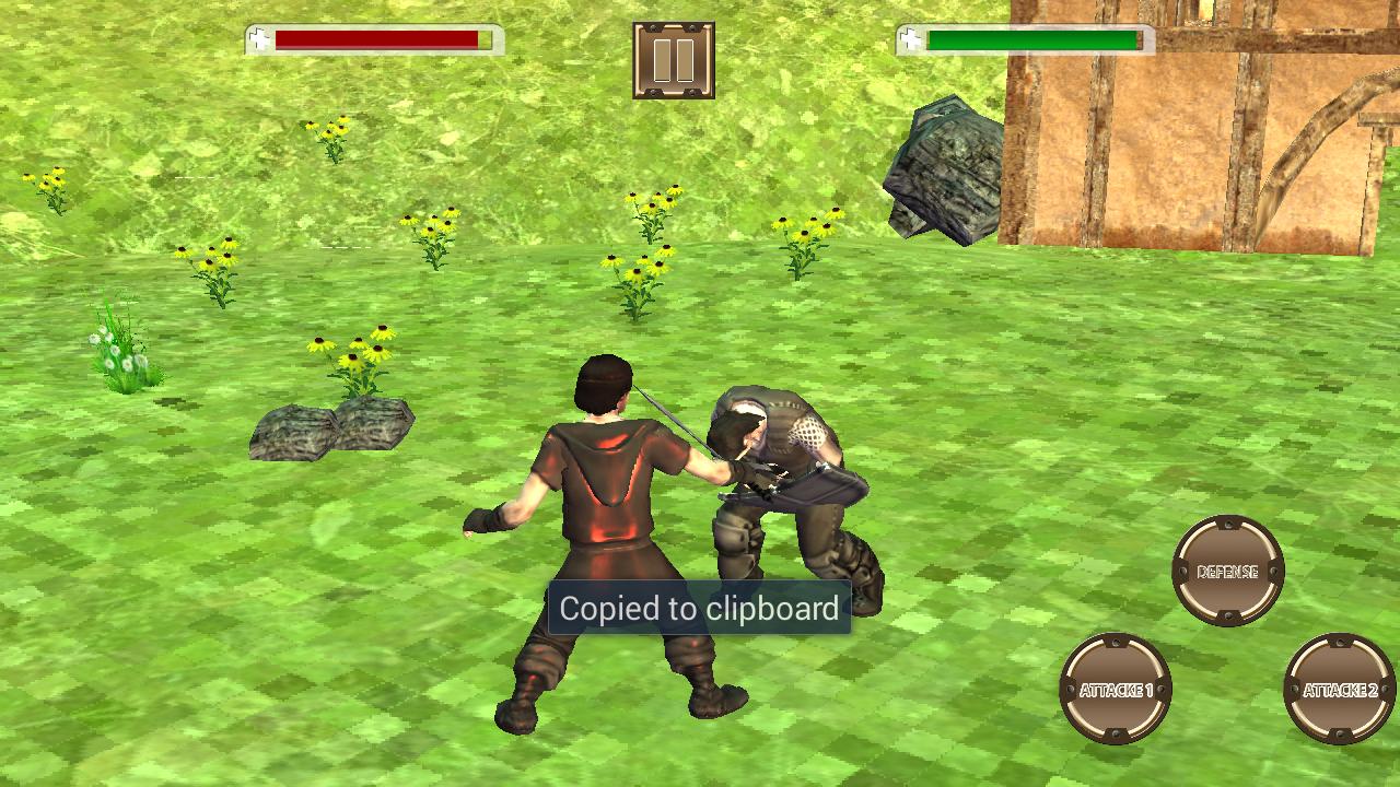 Warrior Assassin Swords Fighting Ninja