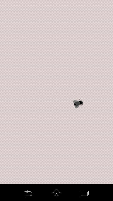 Fly Smash