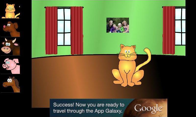 Where is the cat