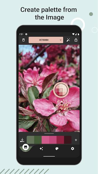Color Picker & Generator