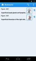 Gray's Anatomy Lite